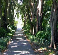 Adelaide Botanic Garden - Accommodation Sunshine Coast
