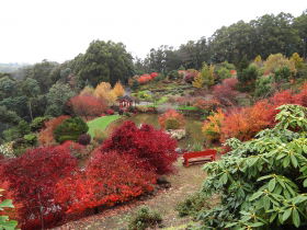 Emu Valley Rhododendron Garden - Accommodation Sunshine Coast 0