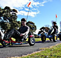 Pedal Buggies Tasmania - Accommodation Sunshine Coast
