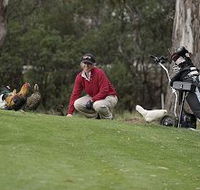 Tasmania Golf Club - The - Accommodation Sunshine Coast