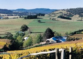 Freycinet Vineyards Pty Ltd - Accommodation Sunshine Coast 0