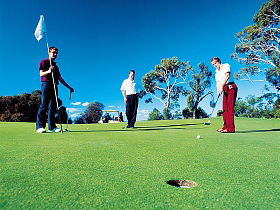 Fingal TAS Accommodation Sunshine Coast