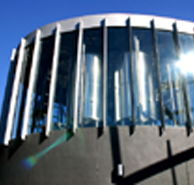 Moo Brew - Accommodation Sunshine Coast