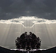 aart. Gallery of Fine Art - Accommodation Sunshine Coast