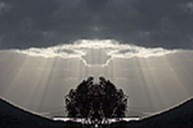 Aart. Gallery Of Fine Art - Accommodation Sunshine Coast 0