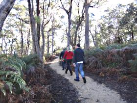 Bridport Walking Track - Accommodation Sunshine Coast 0