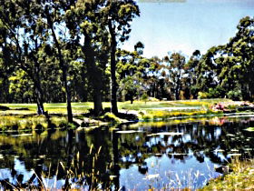 South Forest TAS Accommodation Sunshine Coast