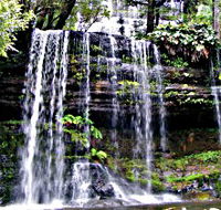 Mt Field National Park - Accommodation Sunshine Coast