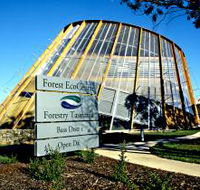 Forest EcoCentre - Accommodation Sunshine Coast