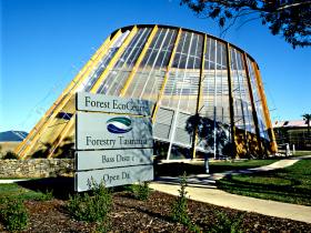 Forest EcoCentre - Accommodation Sunshine Coast 0