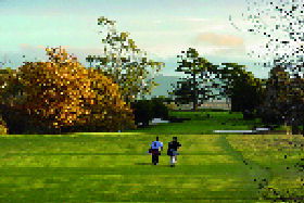 Rosevale TAS Accommodation Sunshine Coast