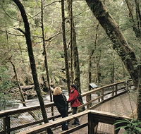 Franklin River Nature Trail - Accommodation Sunshine Coast