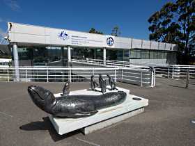 Australia's Antarctic Headquarters - Accommodation Sunshine Coast 0