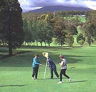 Deloraine Golf Course - Accommodation Sunshine Coast