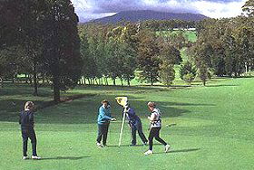 Deloraine Golf Course - Accommodation Sunshine Coast 0