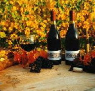 Craigow Vineyard - Accommodation Sunshine Coast