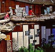 West Coast Visitor Information and Booking Centre - Accommodation Sunshine Coast