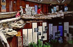 West Coast Visitor Information And Booking Centre - Accommodation Sunshine Coast 0