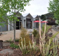 Tin Dragon Interpretation Centre and Cafe - Accommodation Sunshine Coast