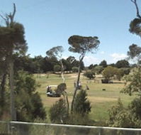 Greens Beach Golf Course - Accommodation Sunshine Coast