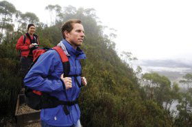 Donaghys Lookout - Accommodation Sunshine Coast 0