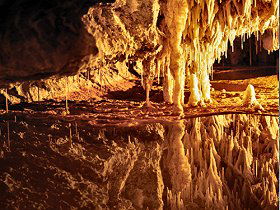 Marakoopa Cave - Accommodation Sunshine Coast 0