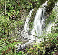 Hogarth Falls - Accommodation Sunshine Coast