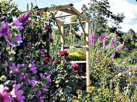 Thelma Retreat Garden And Teahouse - Accommodation Sunshine Coast 0