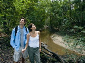 Mooloolah River National Park, Jowarra Section - Accommodation Sunshine Coast 0