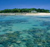 Green Island Fringing Reefs - Accommodation Sunshine Coast