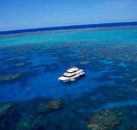 Norman Reef Dive Site - Accommodation Sunshine Coast