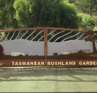 Tasmanian Bushland Garden - Accommodation Sunshine Coast