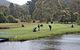 Penguin Golf Course - thumb 0