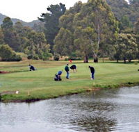 Penguin Golf Course - Accommodation Sunshine Coast