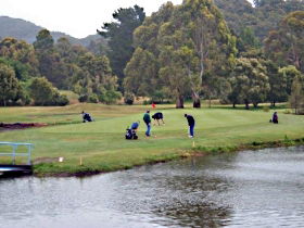 Penguin Golf Course - Accommodation Sunshine Coast 0