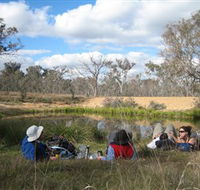 Canberra Nature Park - Accommodation Sunshine Coast