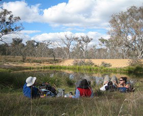 Canberra Nature Park - Accommodation Sunshine Coast 0