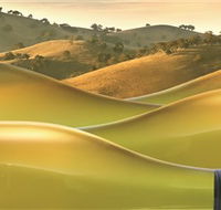 Canberra District Wine Region - Accommodation Sunshine Coast