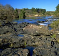 Pine Island to Point Hut Reserve - Accommodation Sunshine Coast