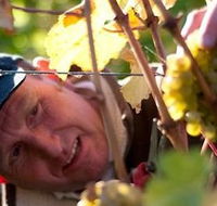 Puddleduck Vineyard - Accommodation Sunshine Coast