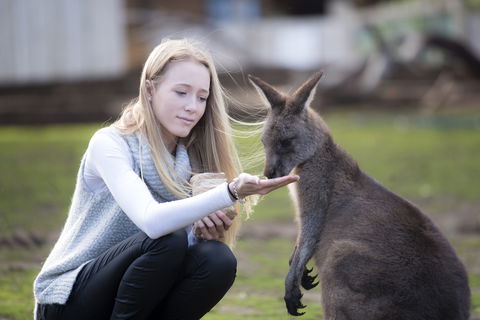 Bonorong Wildlife Sanctuary - Accommodation Sunshine Coast 0