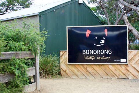Bonorong Wildlife Sanctuary - Accommodation Sunshine Coast 1