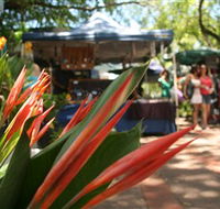 Nightcliff Markets - Accommodation Sunshine Coast