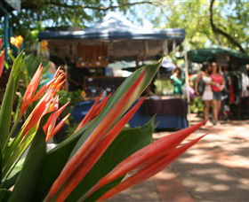 Nightcliff Markets - Accommodation Sunshine Coast 0