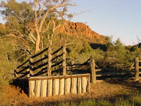 Illamurta Springs Conservation Reserve - Accommodation Sunshine Coast 0
