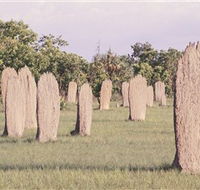Magnetic Termite Mounds - Accommodation Sunshine Coast