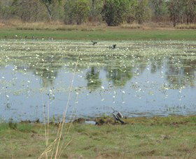 Leaning Tree Lagoon Nature Park - Accommodation Sunshine Coast 0