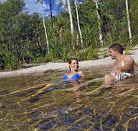 Tjaynera/Sandy Creek Falls - Accommodation Sunshine Coast