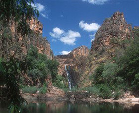 Twin Falls - Accommodation Sunshine Coast 0