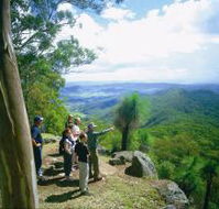 Gold Coast Hinterland Great Walk - Accommodation Sunshine Coast